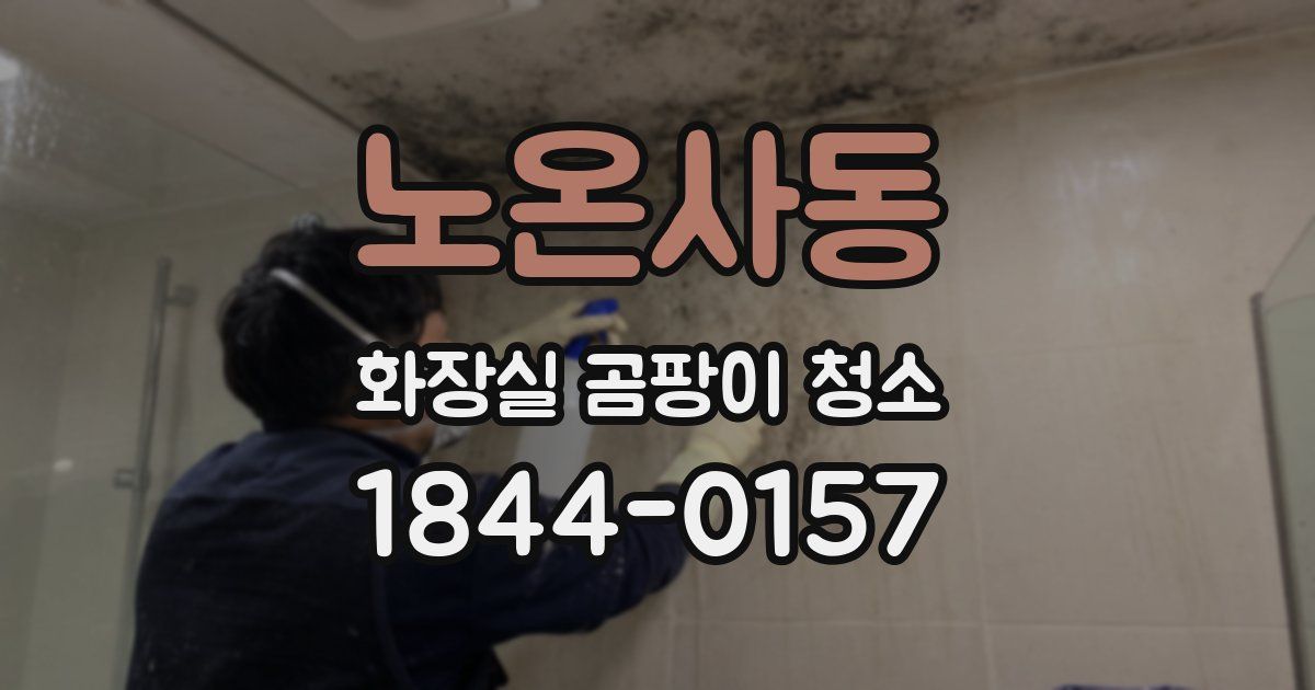 노온사동 화장실 곰팡이 청소