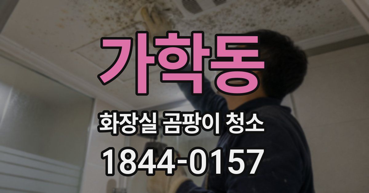 가학동 화장실 곰팡이 청소