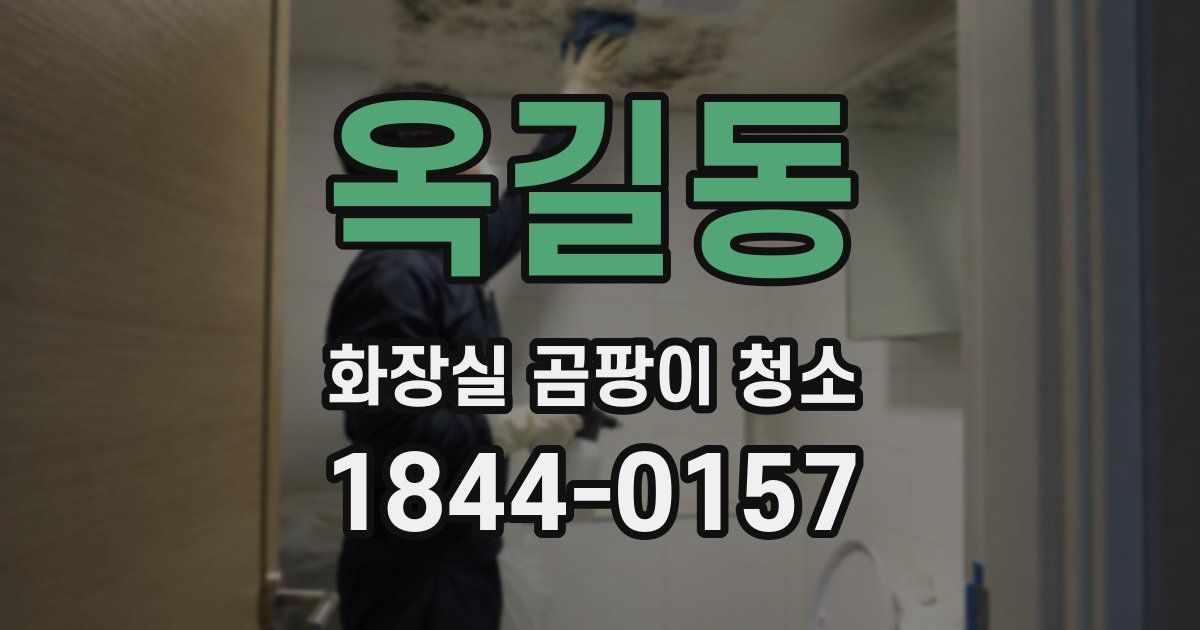 옥길동 화장실 곰팡이 청소