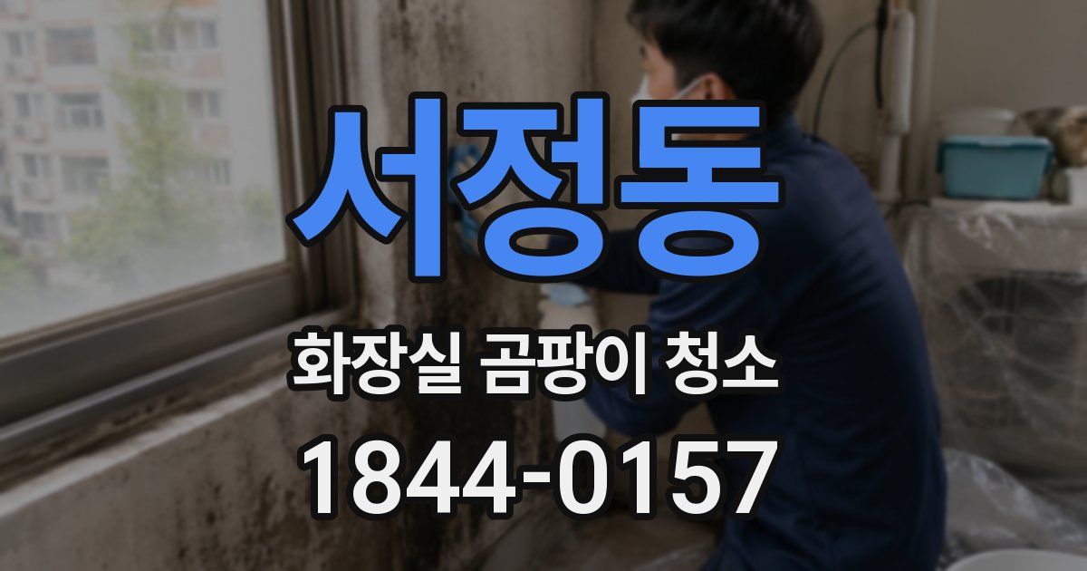 서정동 화장실 곰팡이 청소