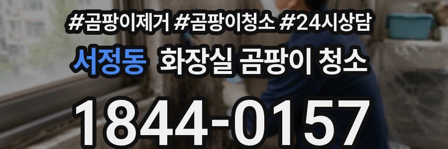 서정동 화장실 곰팡이 청소
