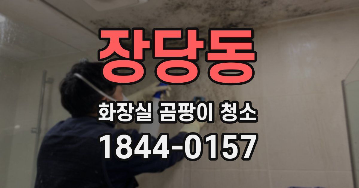 장당동 화장실 곰팡이 청소