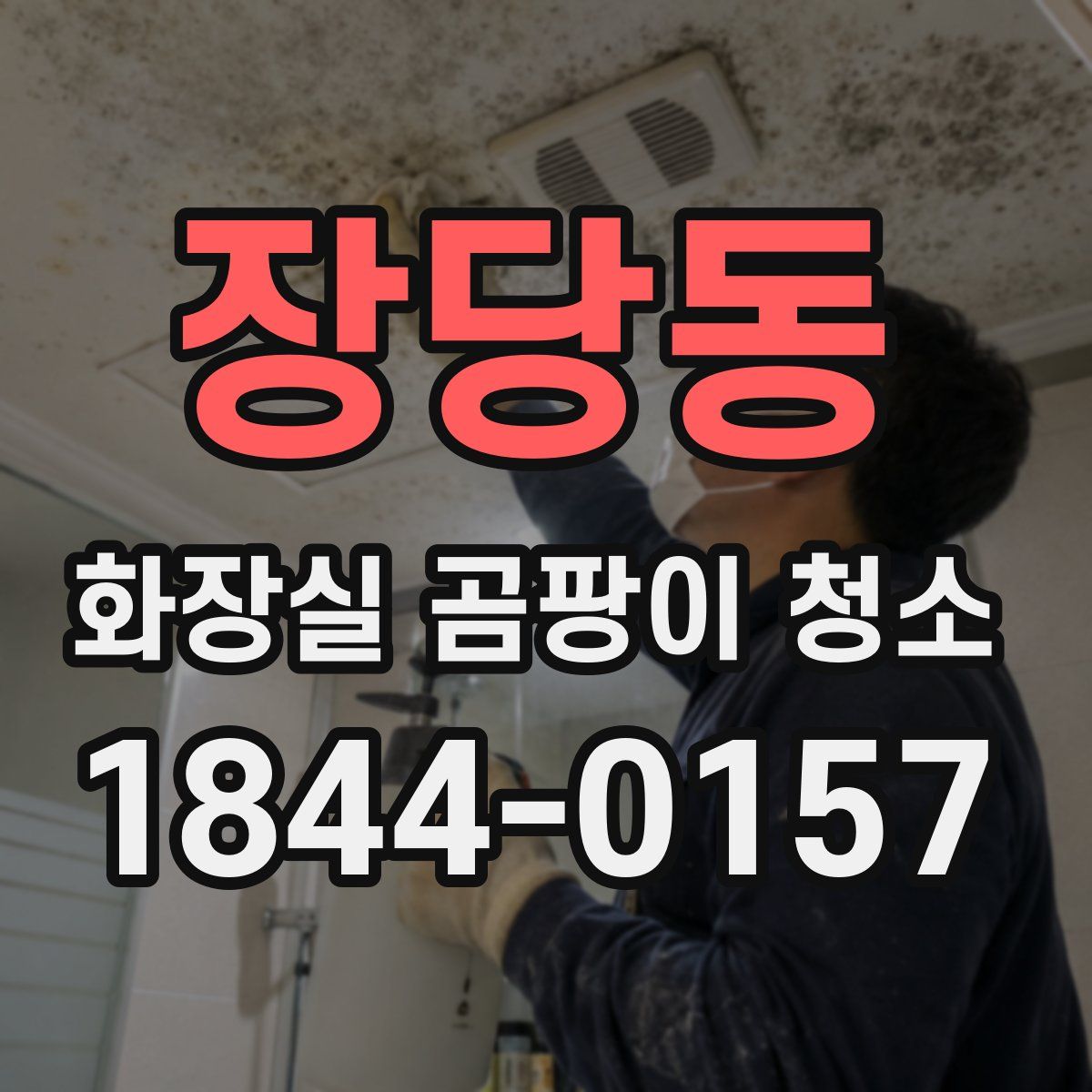 장당동 화장실 곰팡이 청소