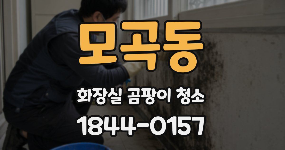 모곡동 화장실 곰팡이 청소