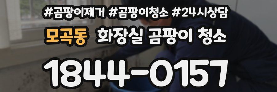 모곡동 화장실 곰팡이 청소