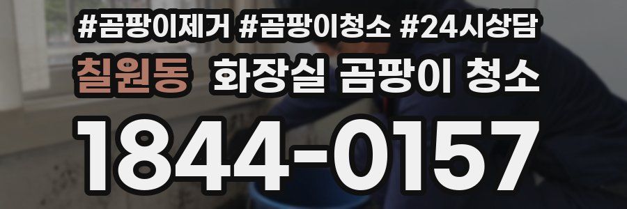 칠원동 화장실 곰팡이 청소