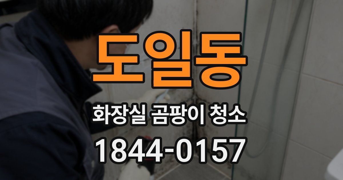 도일동 화장실 곰팡이 청소