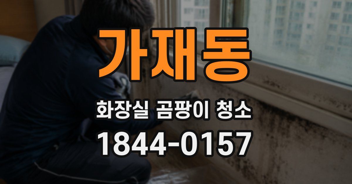 가재동 화장실 곰팡이 청소