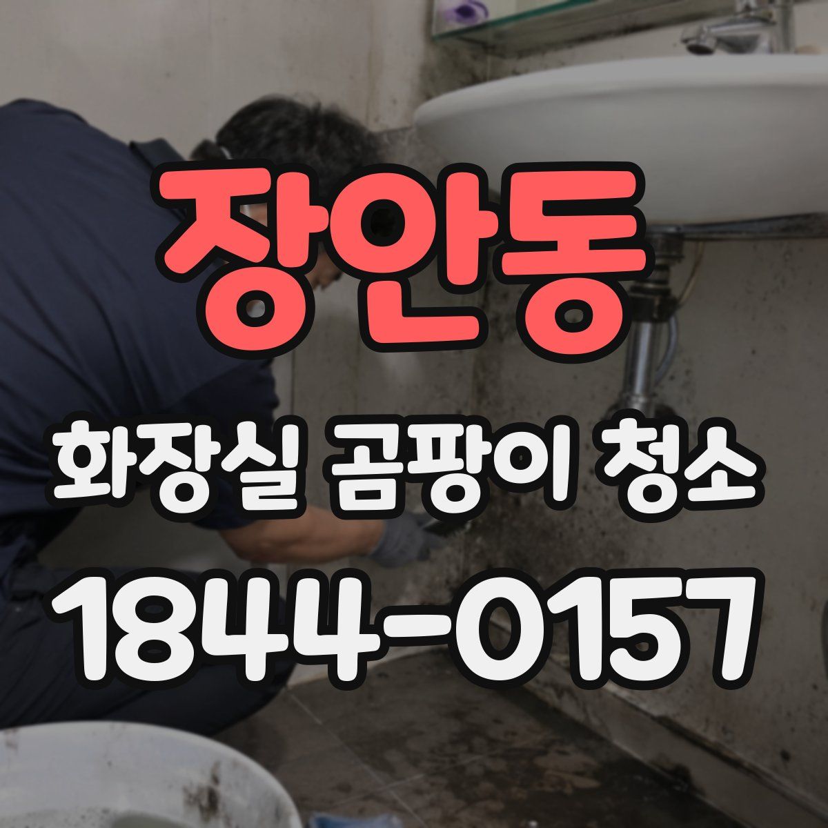 장안동 화장실 곰팡이 청소