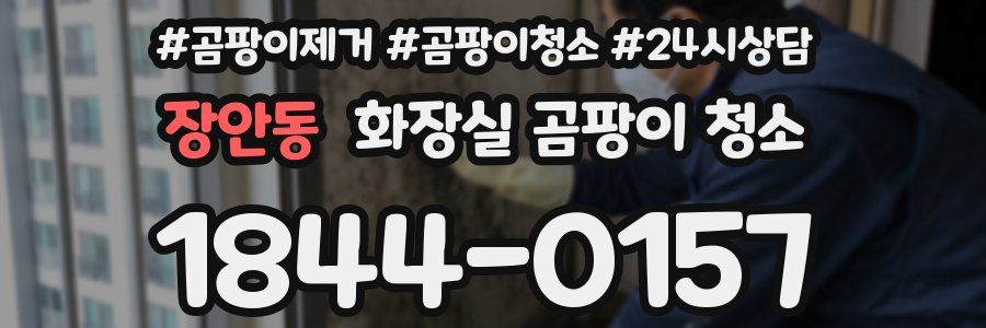 장안동 화장실 곰팡이 청소
