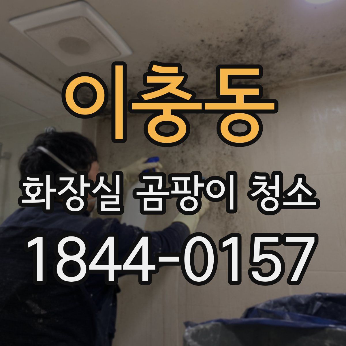 이충동 화장실 곰팡이 청소