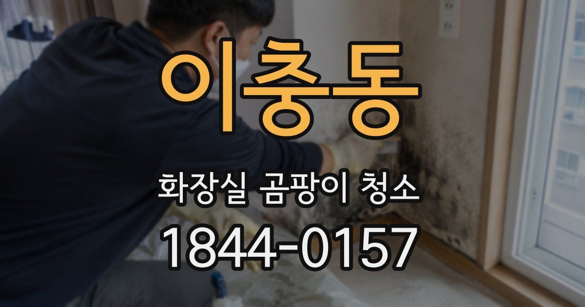 이충동 화장실 곰팡이 청소