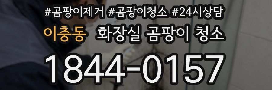이충동 화장실 곰팡이 청소