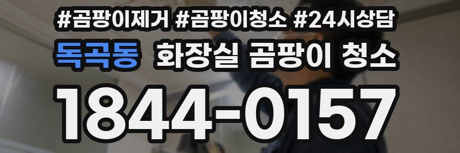 독곡동 화장실 곰팡이 청소