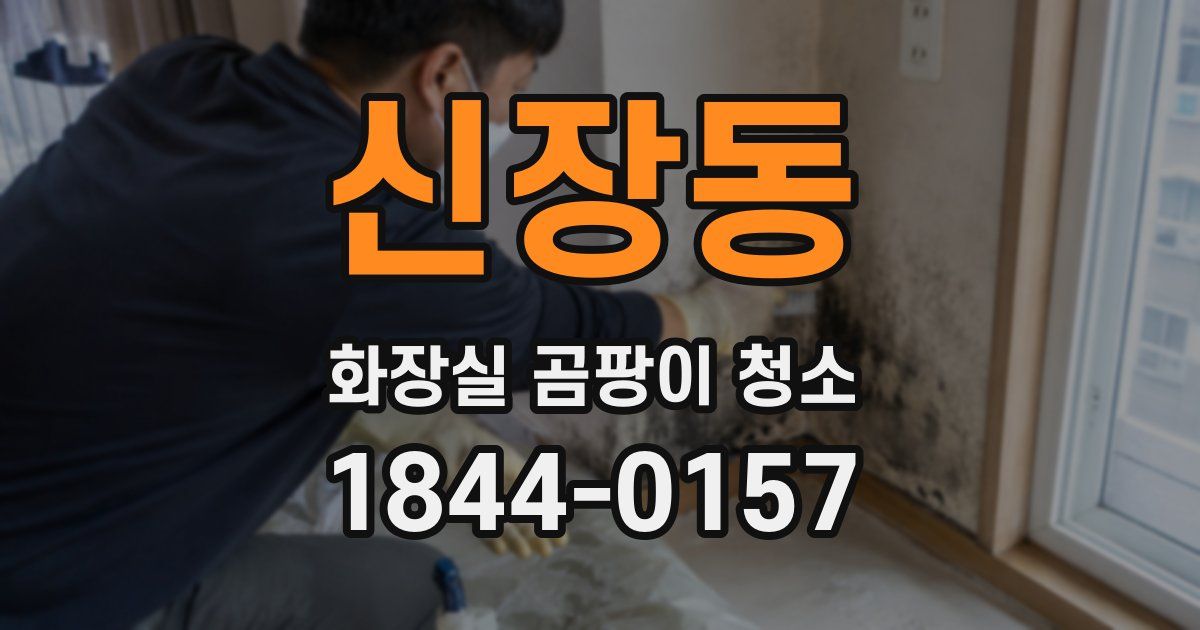 신장동 화장실 곰팡이 청소