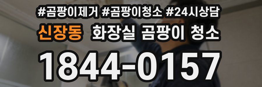 신장동 화장실 곰팡이 청소
