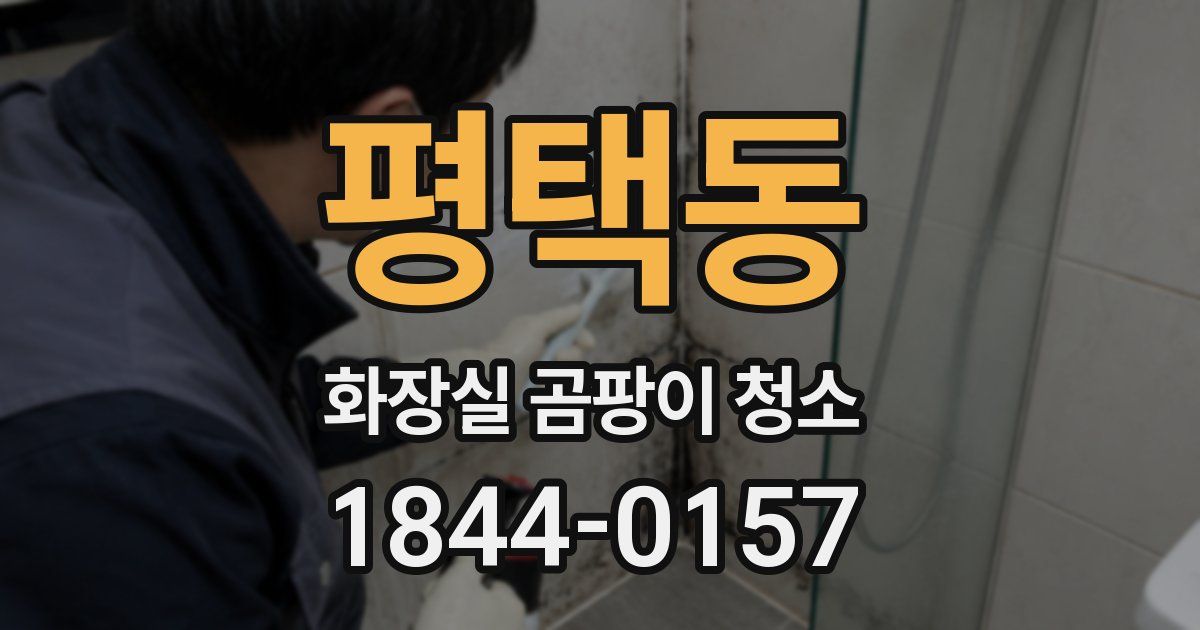 평택동 화장실 곰팡이 청소