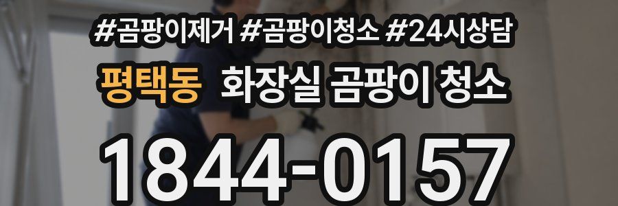 평택동 화장실 곰팡이 청소