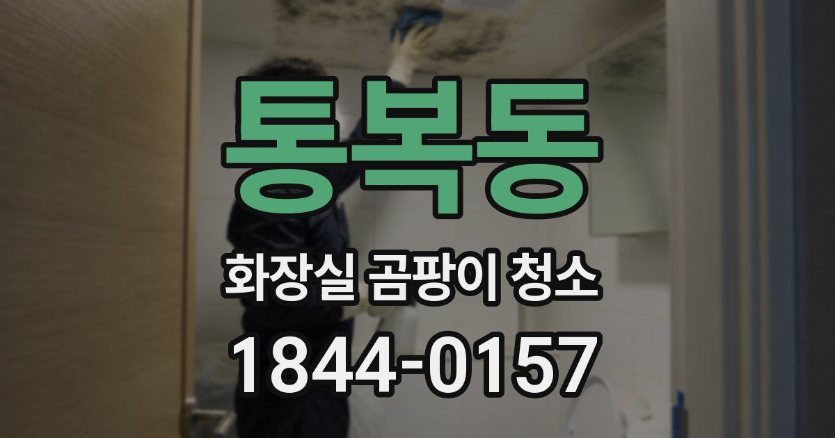 통복동 화장실 곰팡이 청소