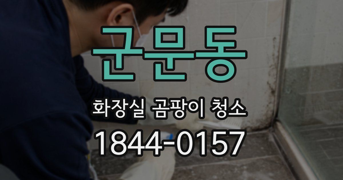 군문동 화장실 곰팡이 청소