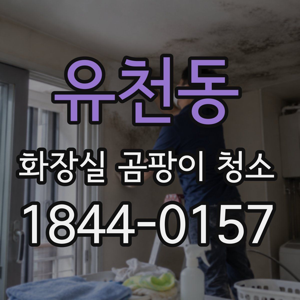 유천동 화장실 곰팡이 청소