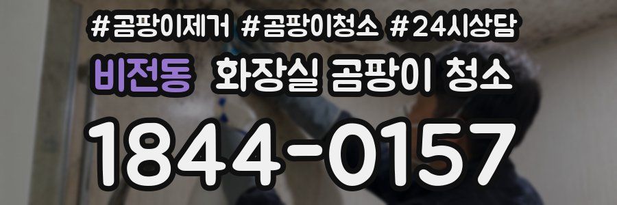 비전동 화장실 곰팡이 청소