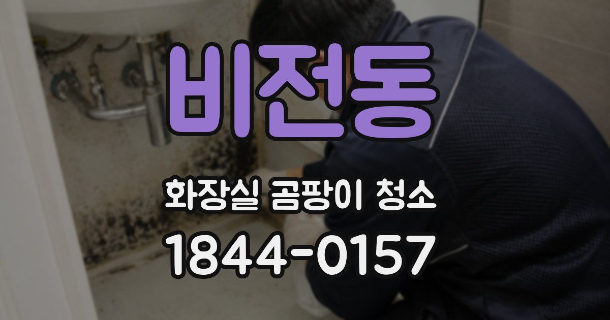 비전동 화장실 곰팡이 청소