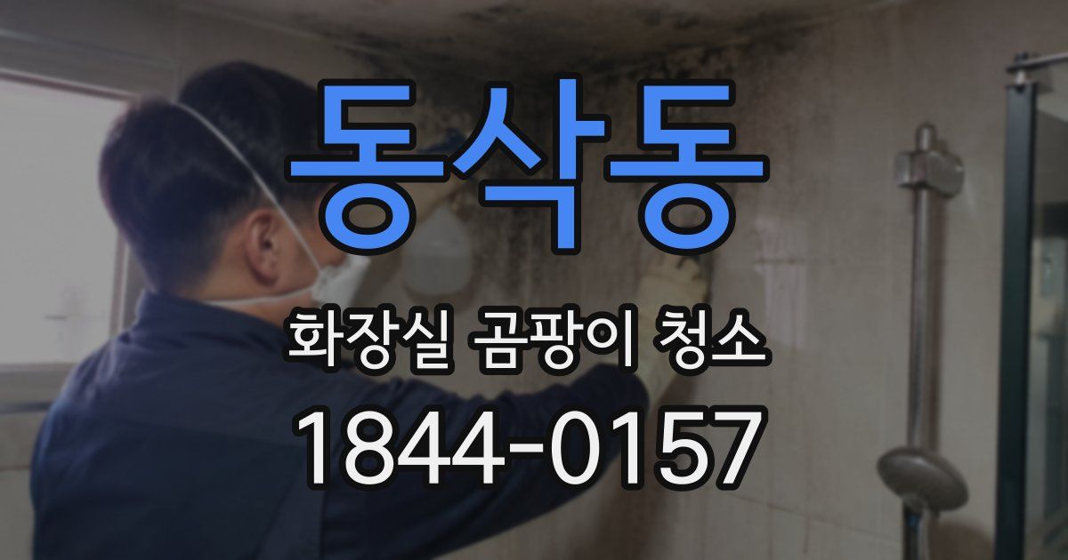 동삭동 화장실 곰팡이 청소