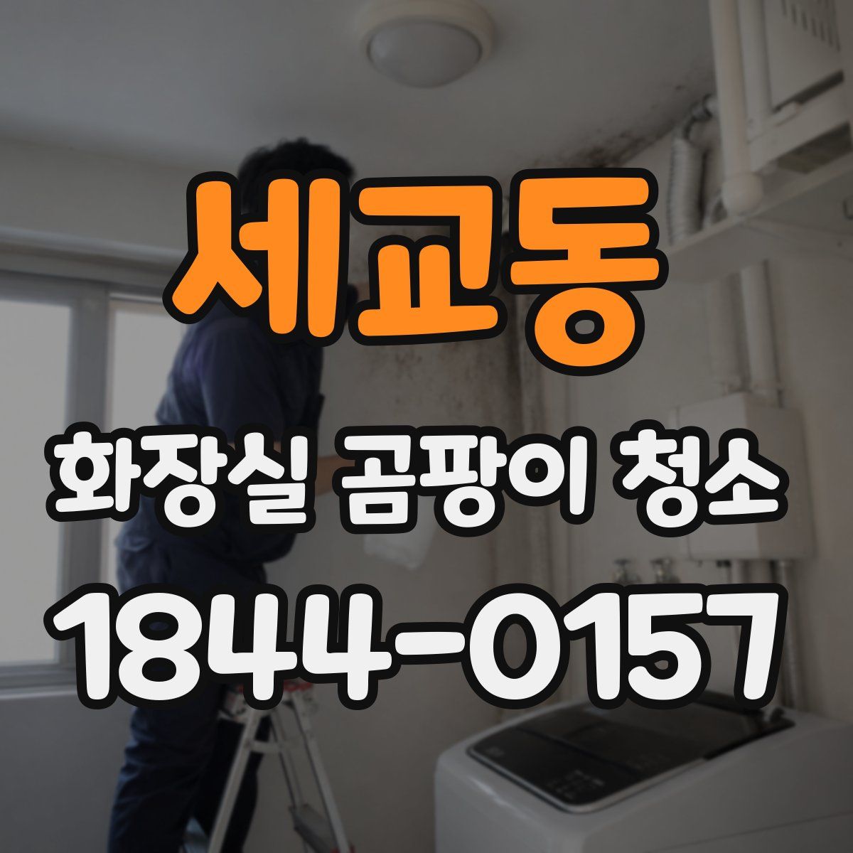 세교동 화장실 곰팡이 청소