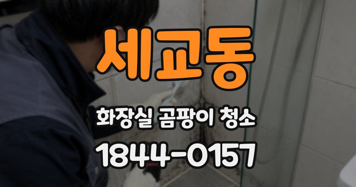 세교동 화장실 곰팡이 청소