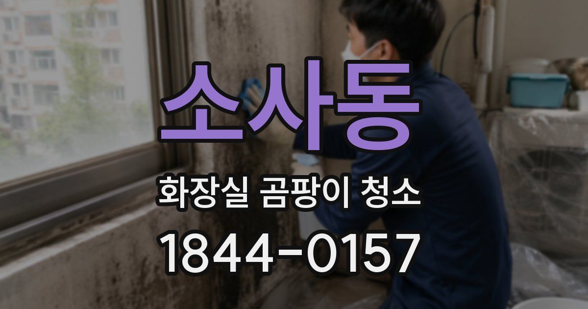소사동 화장실 곰팡이 청소