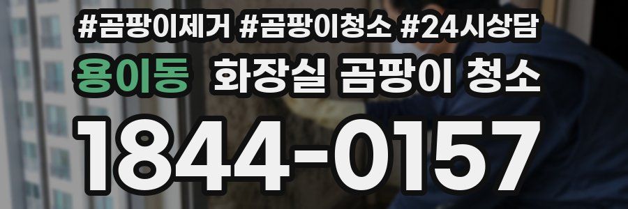 용이동 화장실 곰팡이 청소