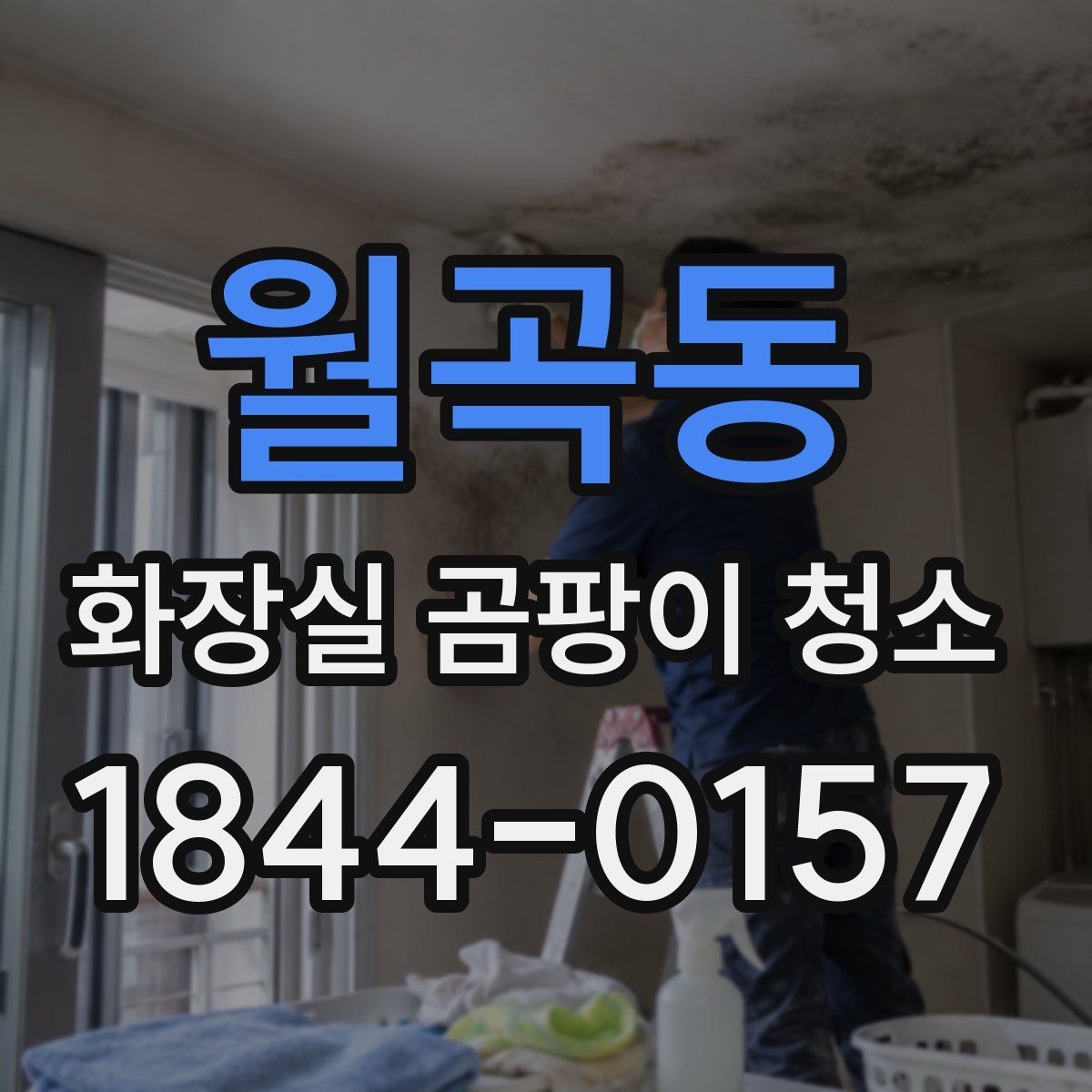 월곡동 화장실 곰팡이 청소