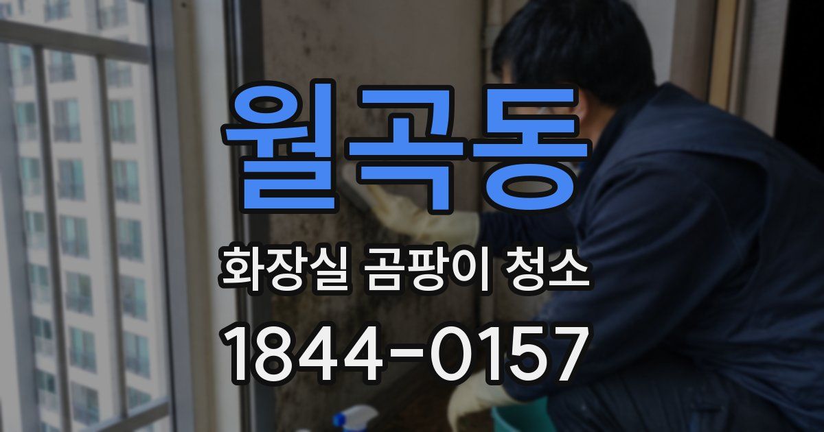 월곡동 화장실 곰팡이 청소