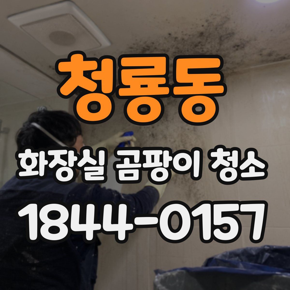 청룡동 화장실 곰팡이 청소