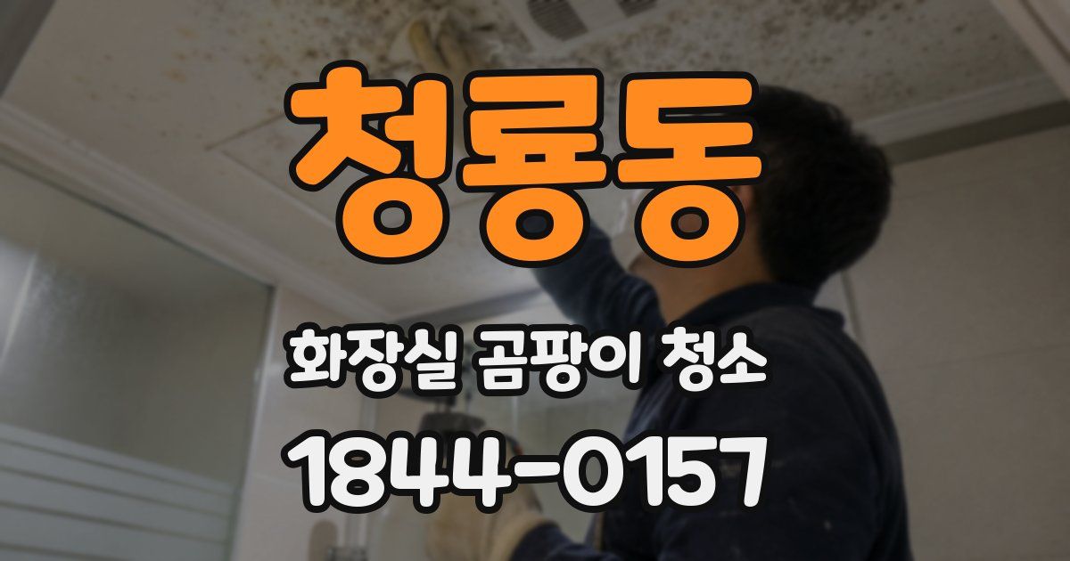 청룡동 화장실 곰팡이 청소