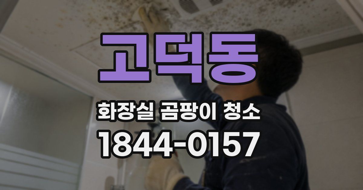 고덕동 화장실 곰팡이 청소