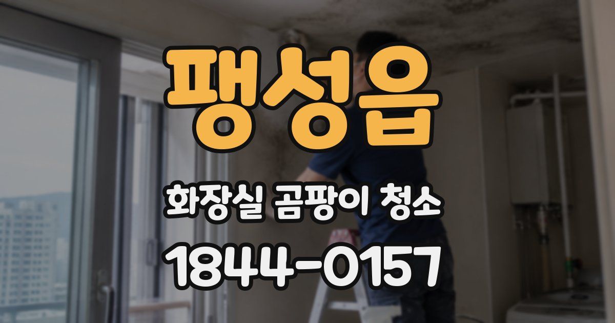 팽성읍 화장실 곰팡이 청소