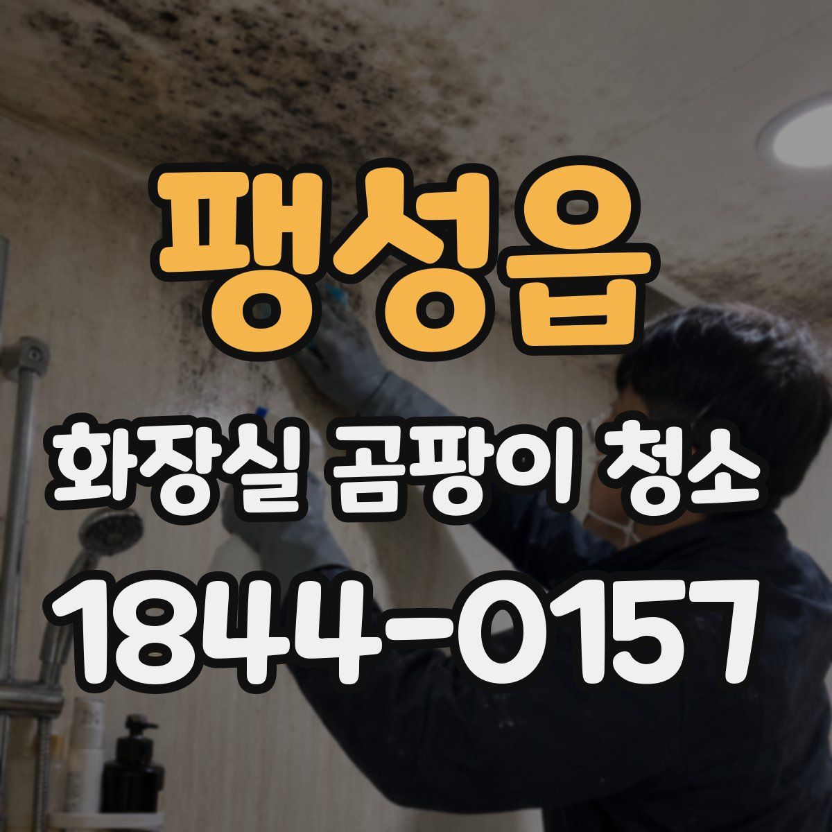 팽성읍 화장실 곰팡이 청소