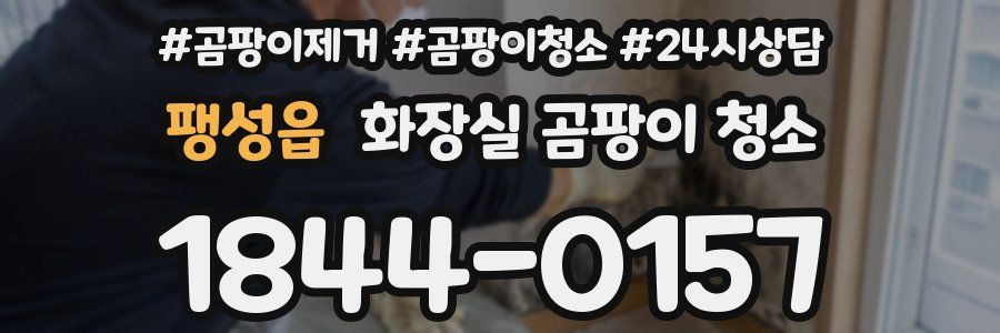 팽성읍 화장실 곰팡이 청소