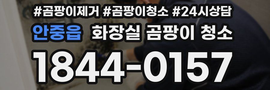 안중읍 화장실 곰팡이 청소