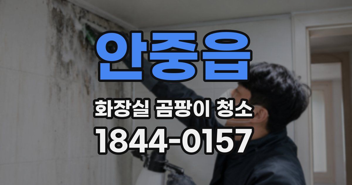 안중읍 화장실 곰팡이 청소