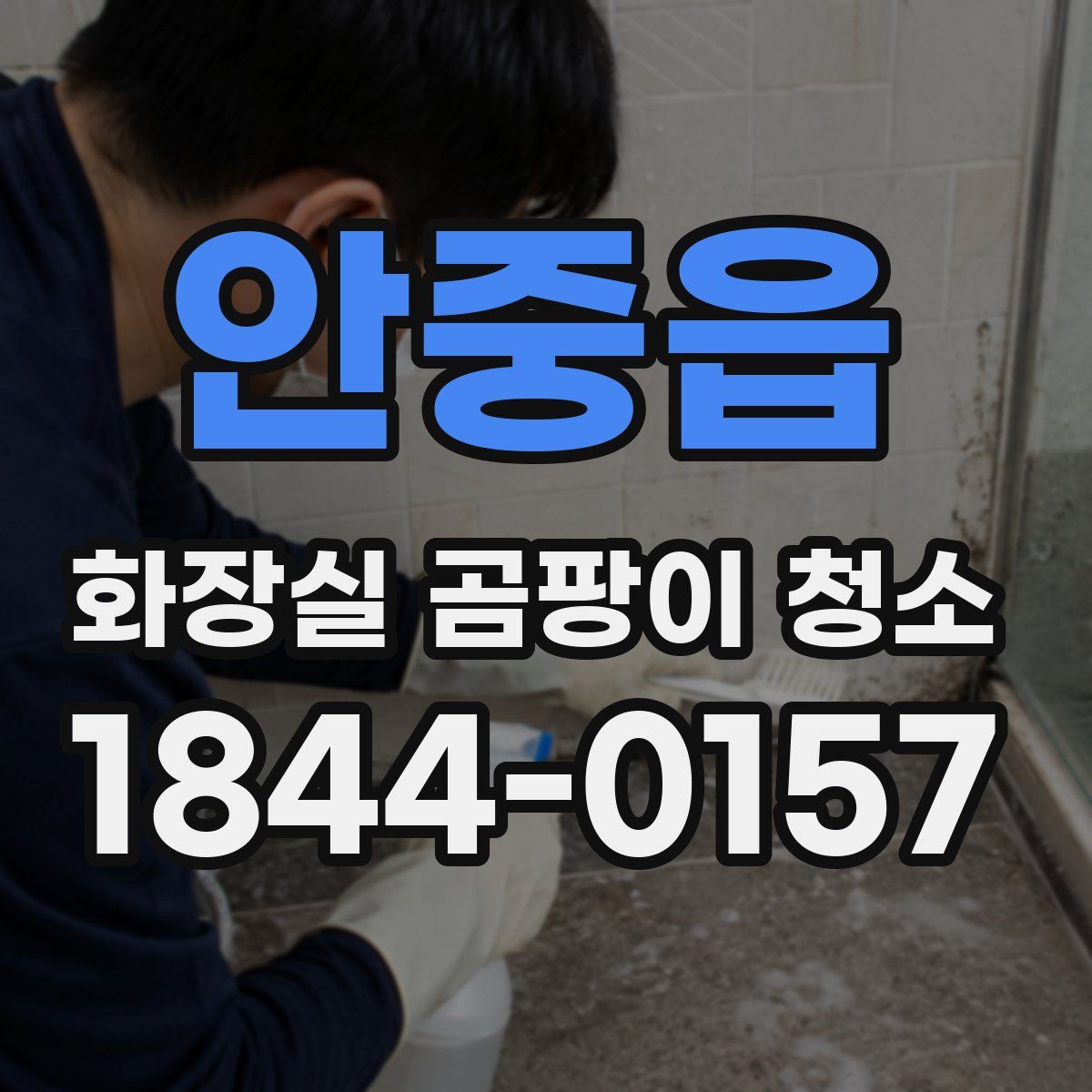 안중읍 화장실 곰팡이 청소