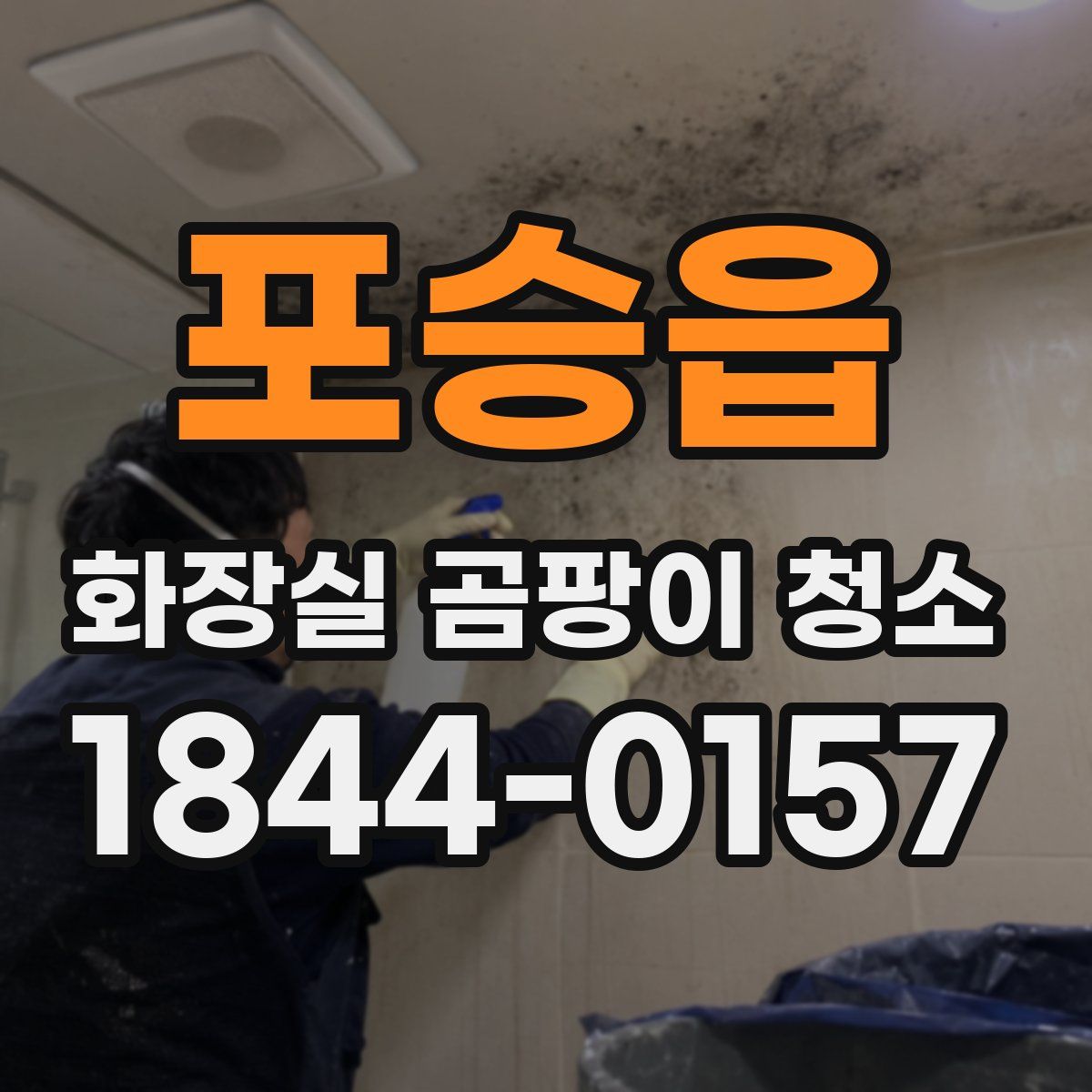 포승읍 화장실 곰팡이 청소