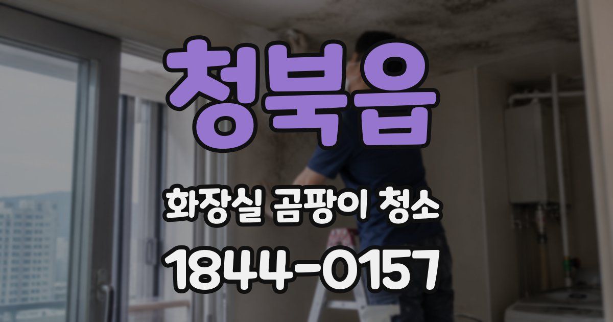 청북읍 화장실 곰팡이 청소