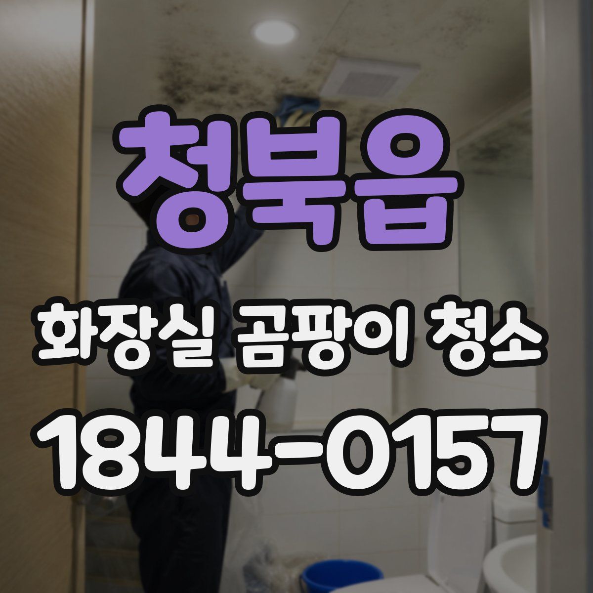 청북읍 화장실 곰팡이 청소
