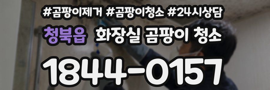 청북읍 화장실 곰팡이 청소