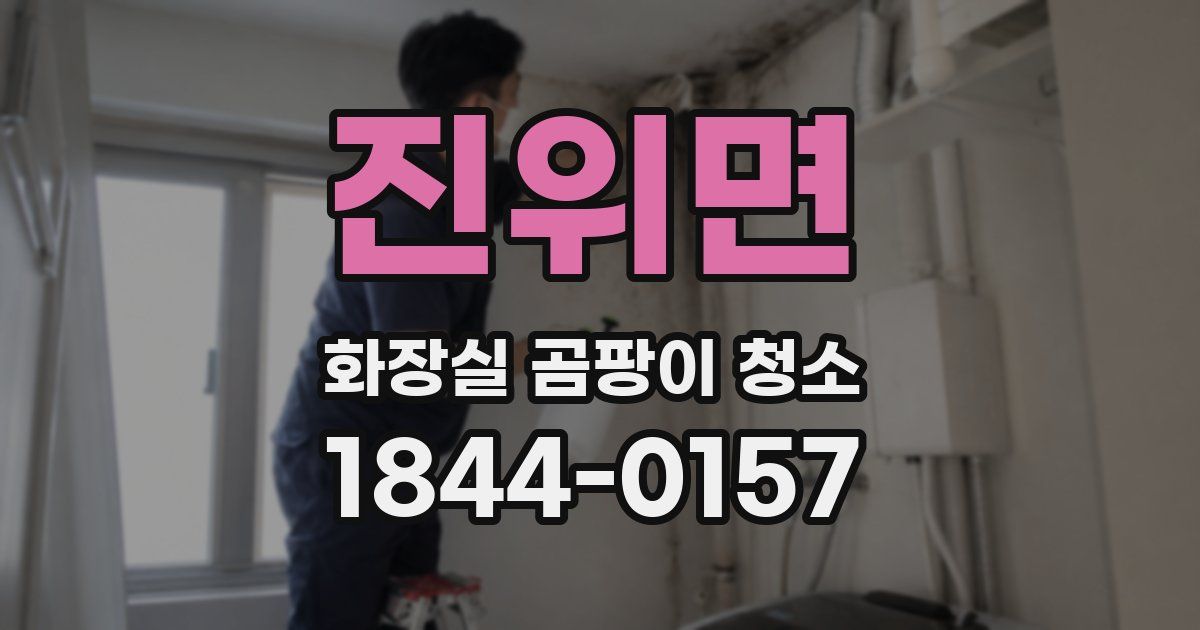 진위면 화장실 곰팡이 청소
