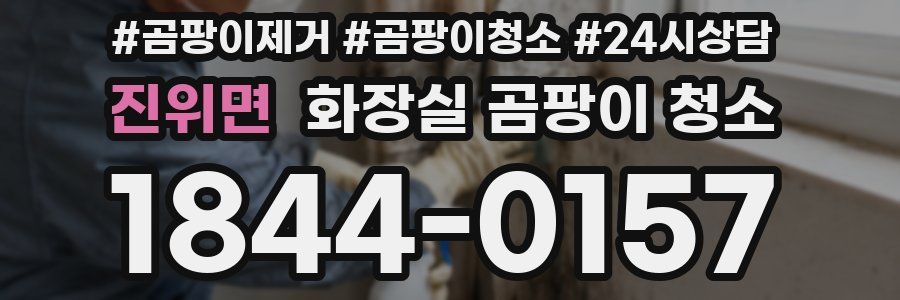진위면 화장실 곰팡이 청소