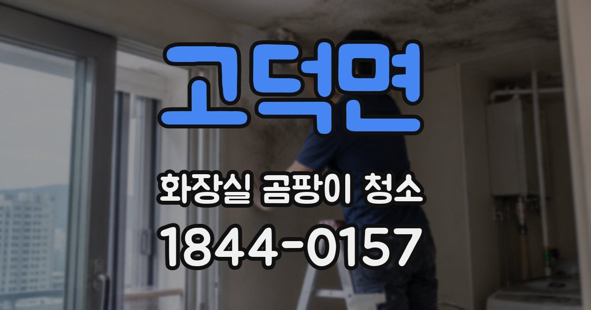 고덕면 화장실 곰팡이 청소